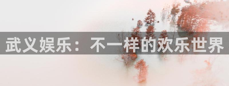 银河官网：武义娱乐：不一样的欢乐世界